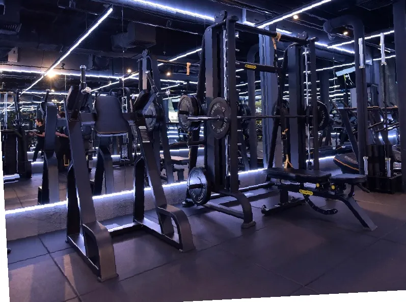 FitWhey Gym BRAVO (Show DC)