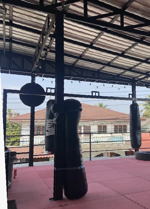 Crazy Boxing