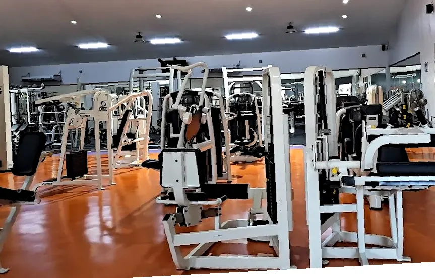 Body Fit 88
