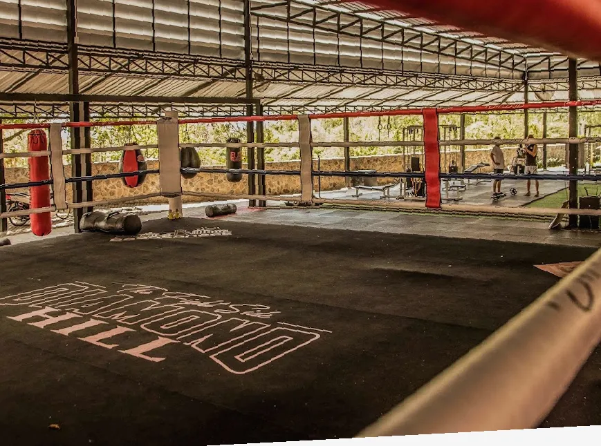 Elite Fight Club