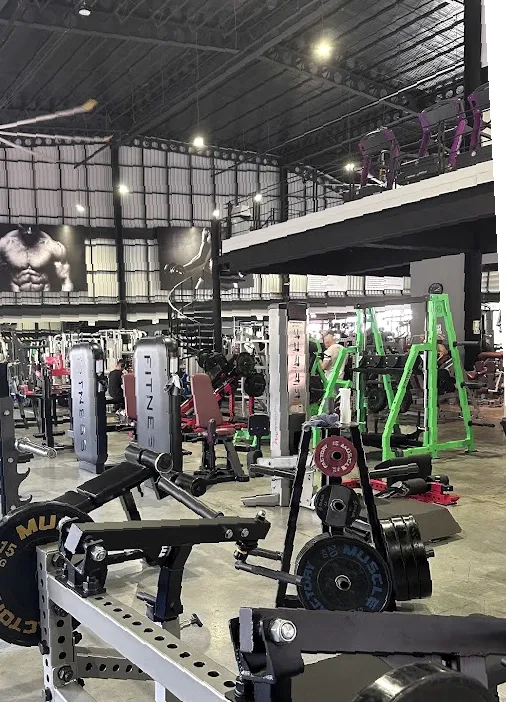 Muscle Factory