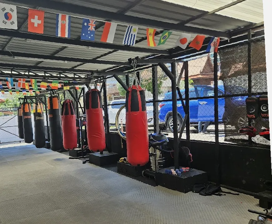 Battle & Conquer Gym