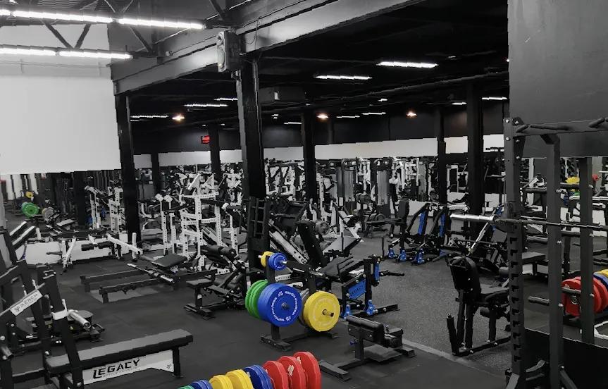 Legacy Muscle Universe