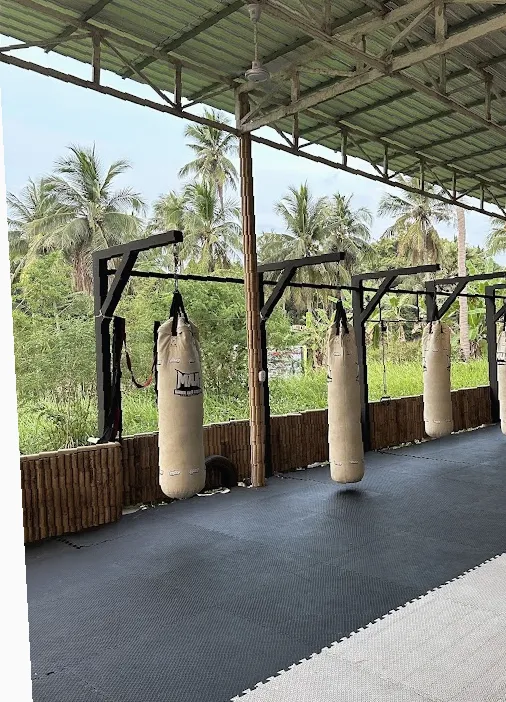 Martial Arts Academy