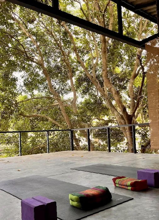 Living Juices & Yoga