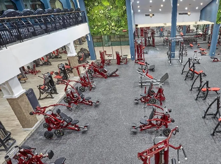 Training Ground Gym & Wellness Hub