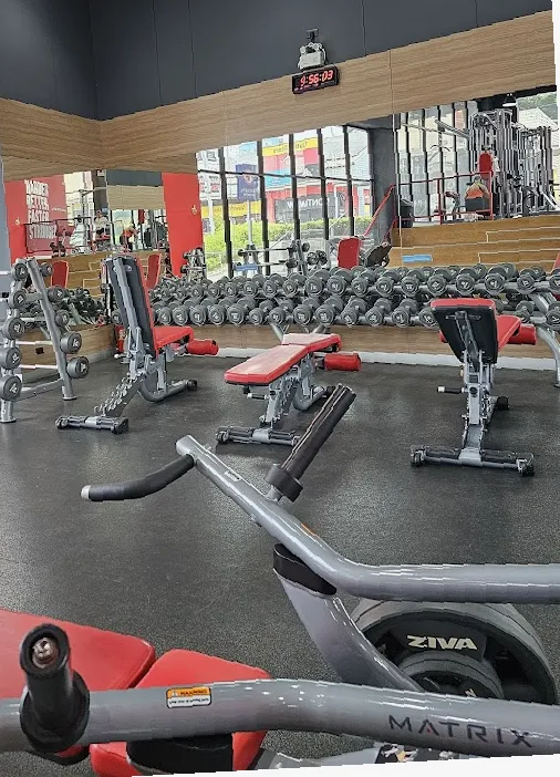 Coco Fitness