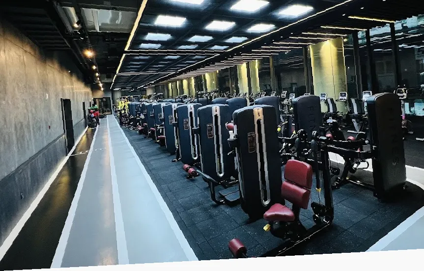 FitWhey Gym BRAVO (Show DC)